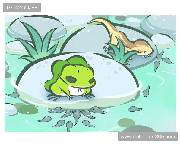 疯狂脑力王挑战极限智力破解寻找十二只青蛙的终极冒险之旅